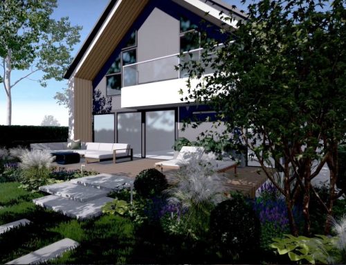 Ogród nowoczesny w Bielsku-Białej