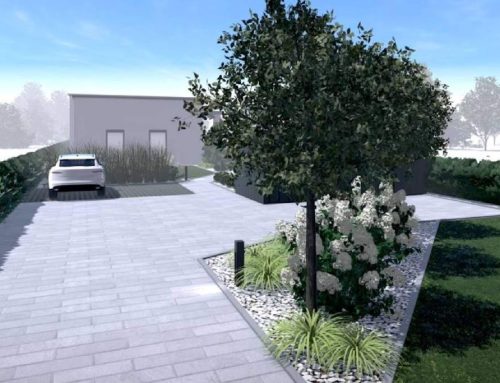 Minimalistyczny projekt przedogródka w Bielsku-Białej