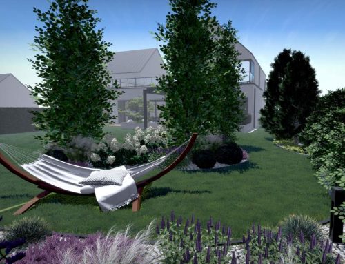 Projekt ogrodu on-line w Warszawie Wilanów